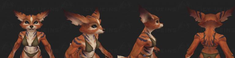 ears 11f.jpg